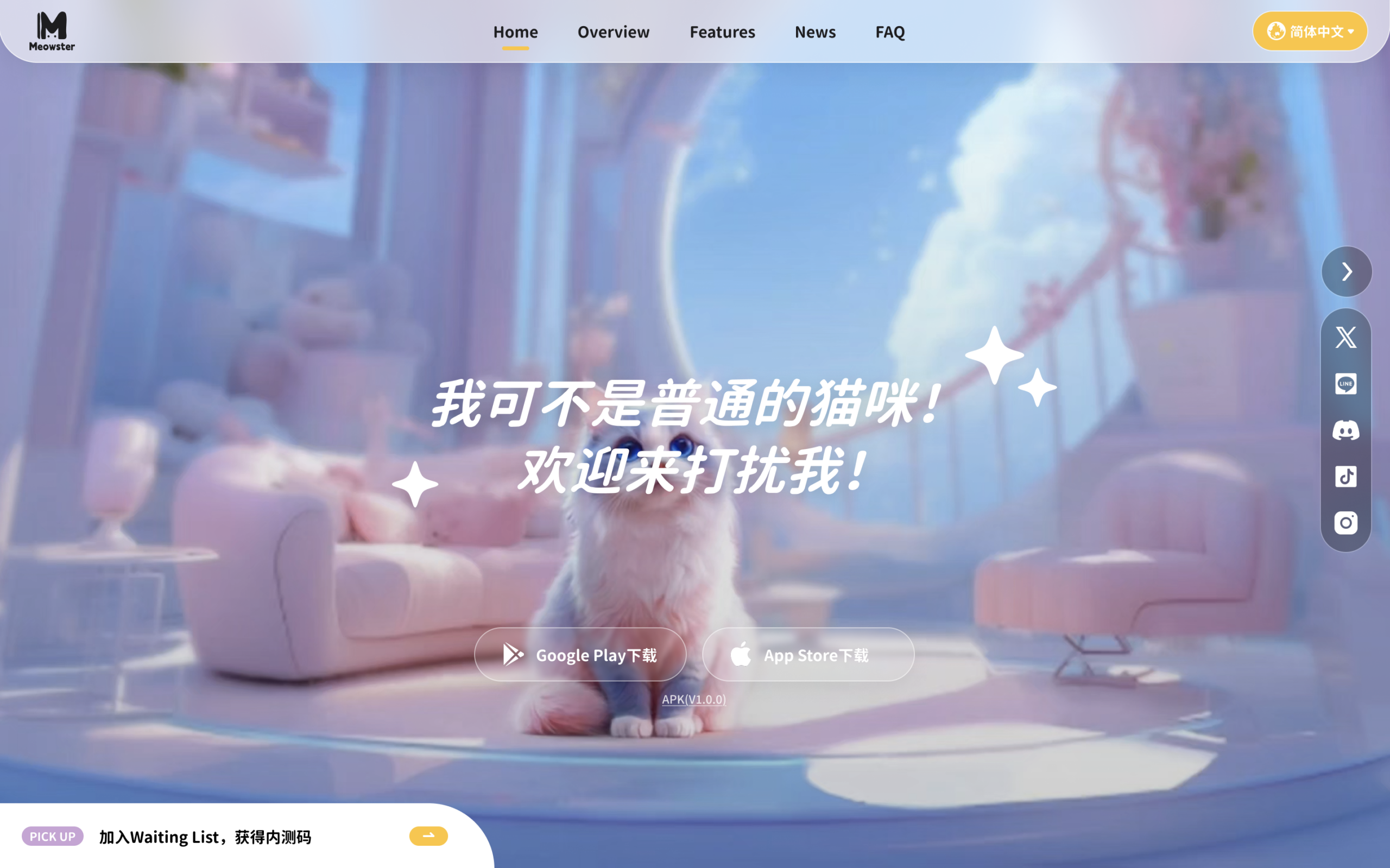 Meowster｜HPリニューアル・改善